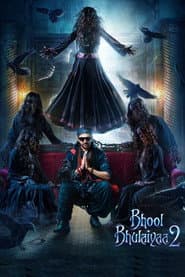 Bhool Bhulaiyaa 2 poster 3