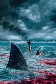 Beneath the Surface poster 3