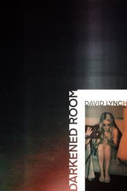 Darkened Room poster 1