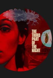 The Third Part of the Night poster 8