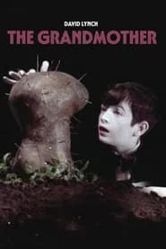 The Grandmother poster 10