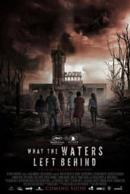 What the Waters Left Behind poster 2