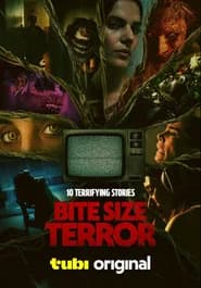 Bite Size Terror poster 1