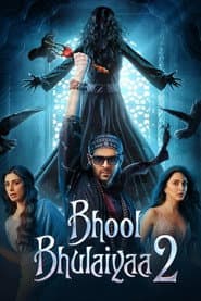 Bhool Bhulaiyaa 2 poster 5