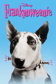 Frankenweenie poster 2