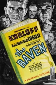 The Raven poster 11