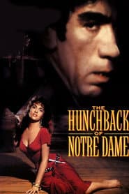 The Hunchback of Notre Dame poster 4