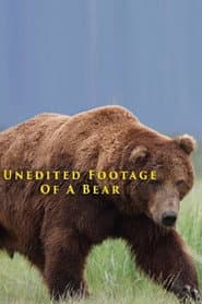 Unedited Footage of a Bear poster 1