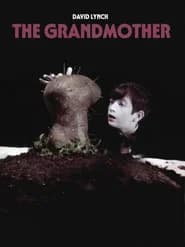The Grandmother poster 8