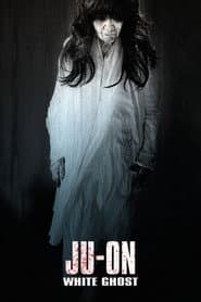 Ju-On: White Ghost poster 4