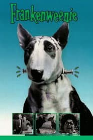 Frankenweenie poster 10