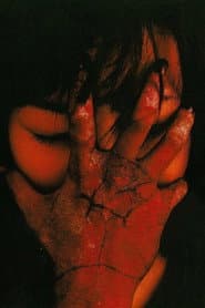 Ju-on: The Curse poster 6