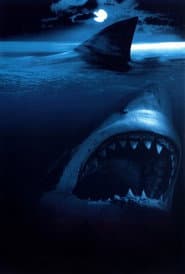 Shark Attack poster 3
