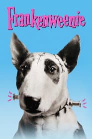 Frankenweenie poster 3