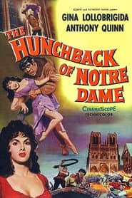 The Hunchback of Notre Dame poster 11