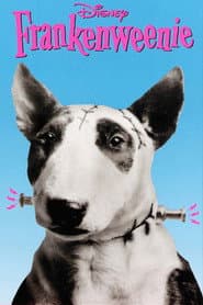Frankenweenie poster 8