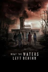 What the Waters Left Behind poster 1