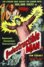 Indestructible Man poster 4