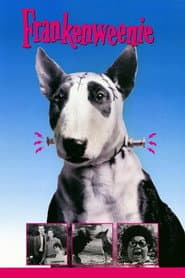 Frankenweenie poster 4