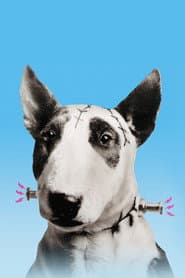 Frankenweenie poster 6