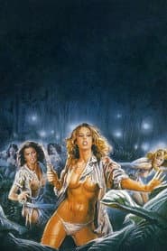 Women in Fury poster 2