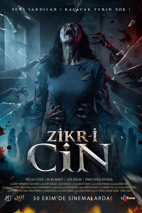 Zikr-i Cin